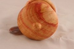 Flame Box Elder