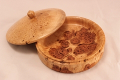 Maple Burlwood