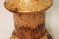 Maple Burlwood